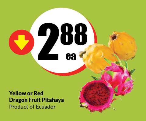 yellow or red dragon fruit pitahaya