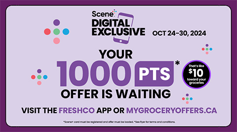 Promotional banner for Scene+ Digital Exclusive offer from Oct 24-30, 2024. Earn 1000 points, equivalent to $10, by visiting the FreshCo app or mygroceryoffers.ca. Includes a QR code for downloading the FreshCo app and colourful dotted design elements.