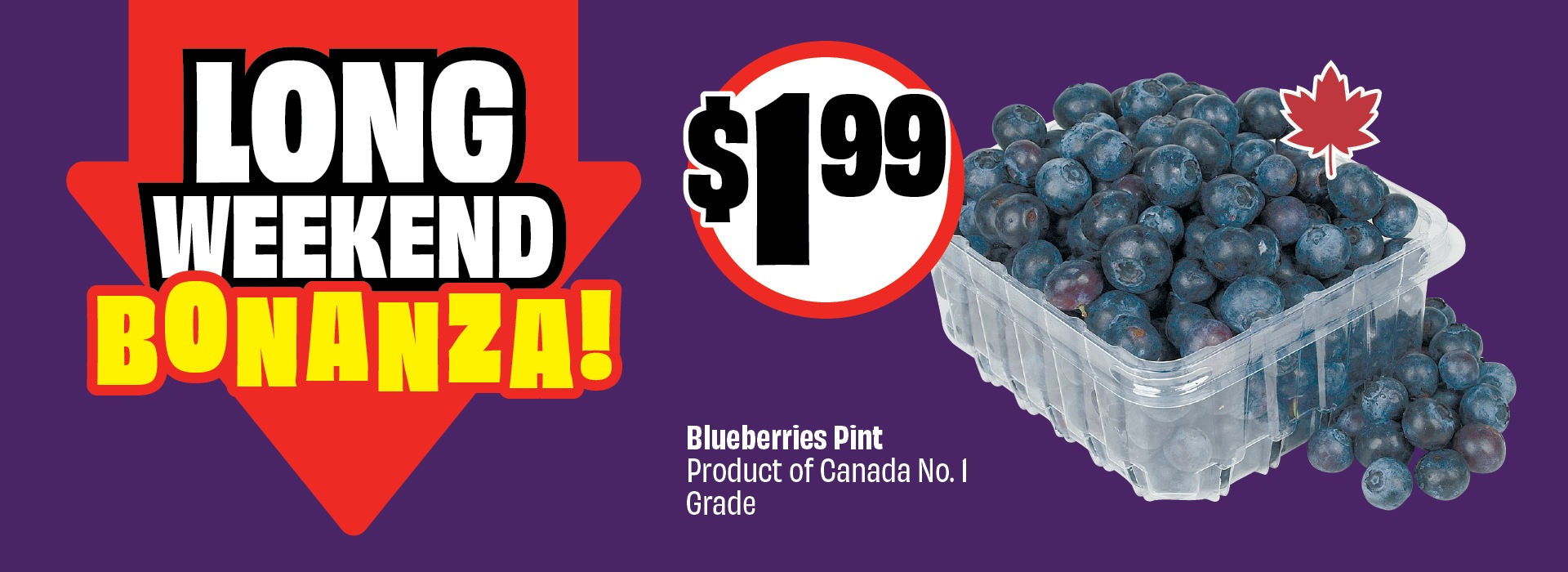 Text reading: "LONG WEEKEND BONANZA! Blueberries Pint, Product of Canada No.1 Grade. Priced at $1.99."